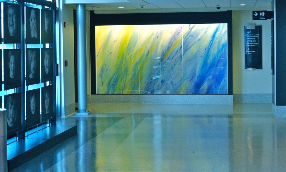 Advocate Lutheran General Hospital / Park Ridge, IL