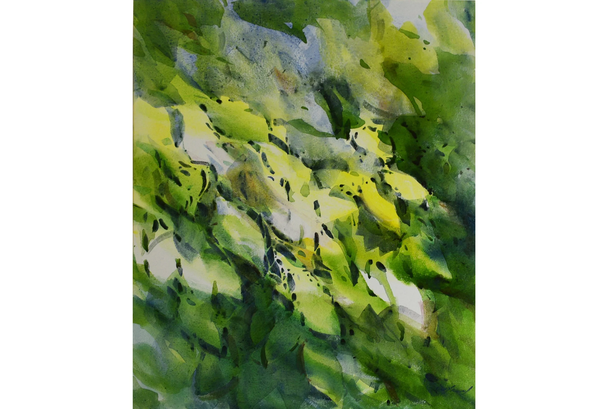 Through the Window 40x30 on Canvas $3600