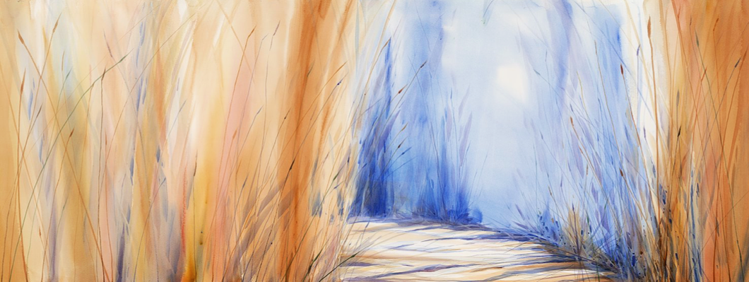 Screenshot 2025-07-29 at 11.29.43 AM.png