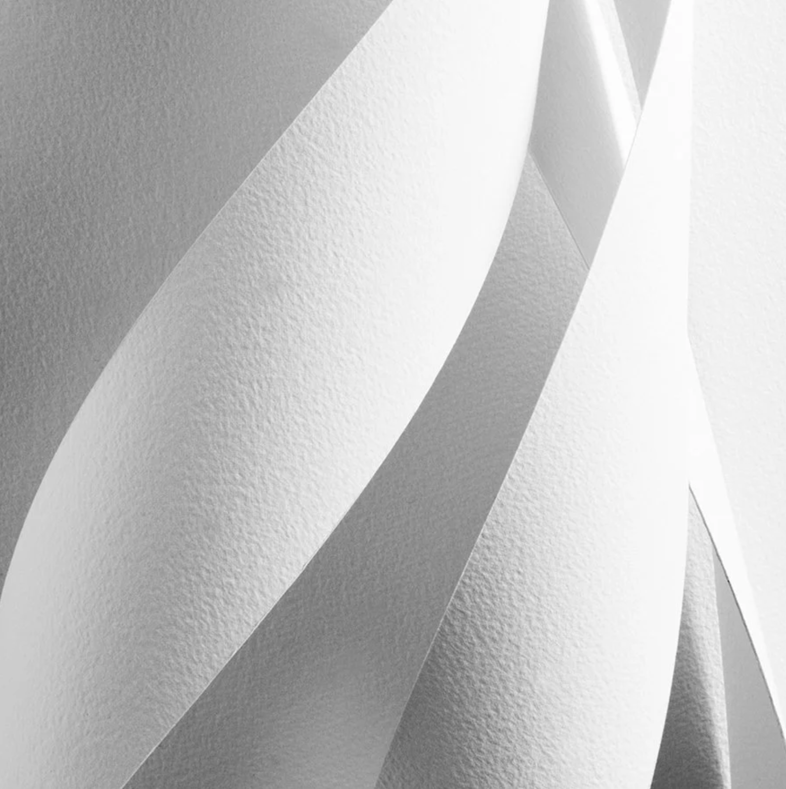 The Twist (Black & White))