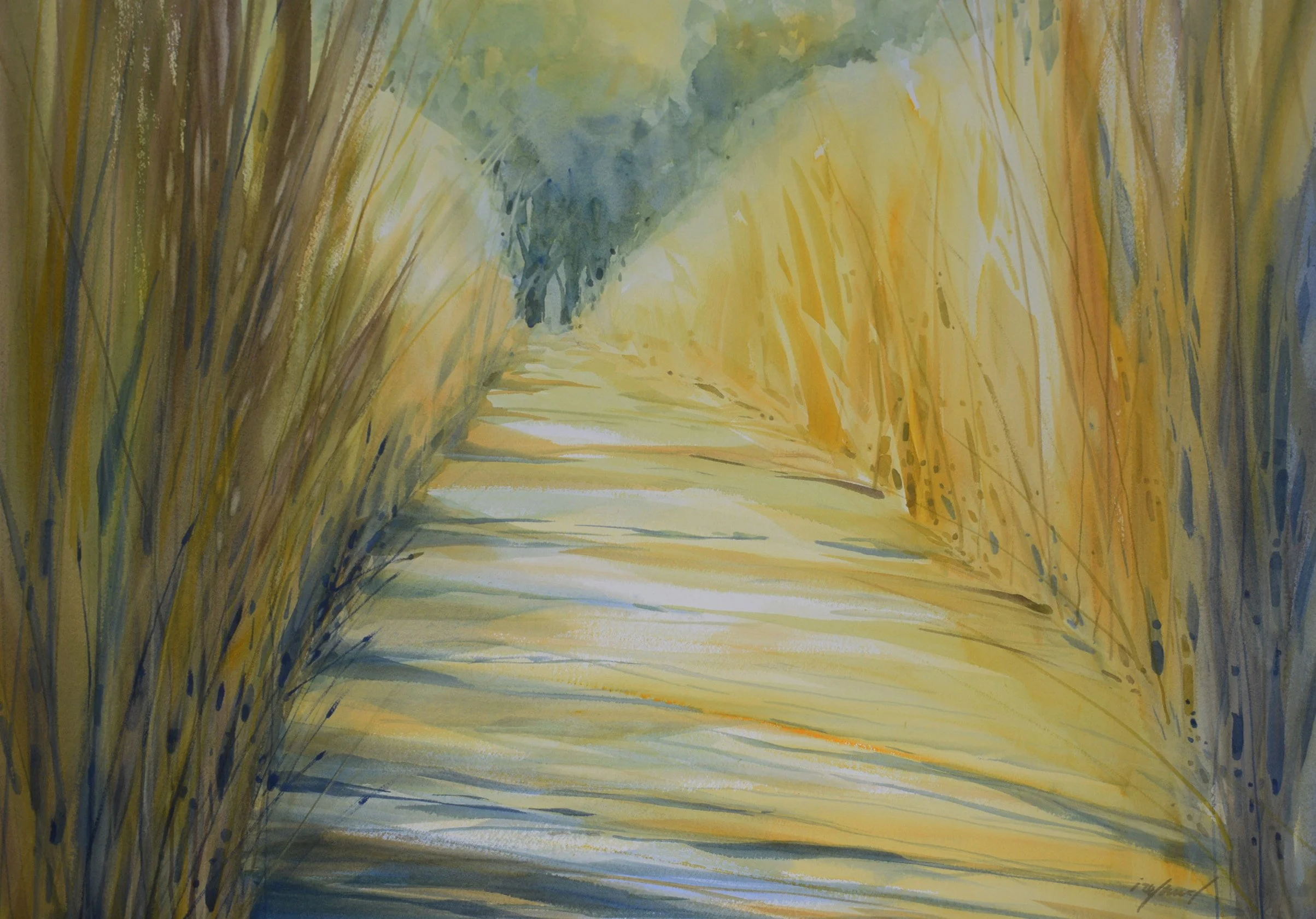 The Journey (Triptych) 180x48 $1600