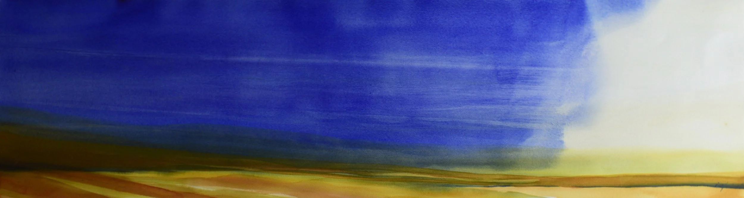 Windswept #2 48x13 on #140 Arches $2400