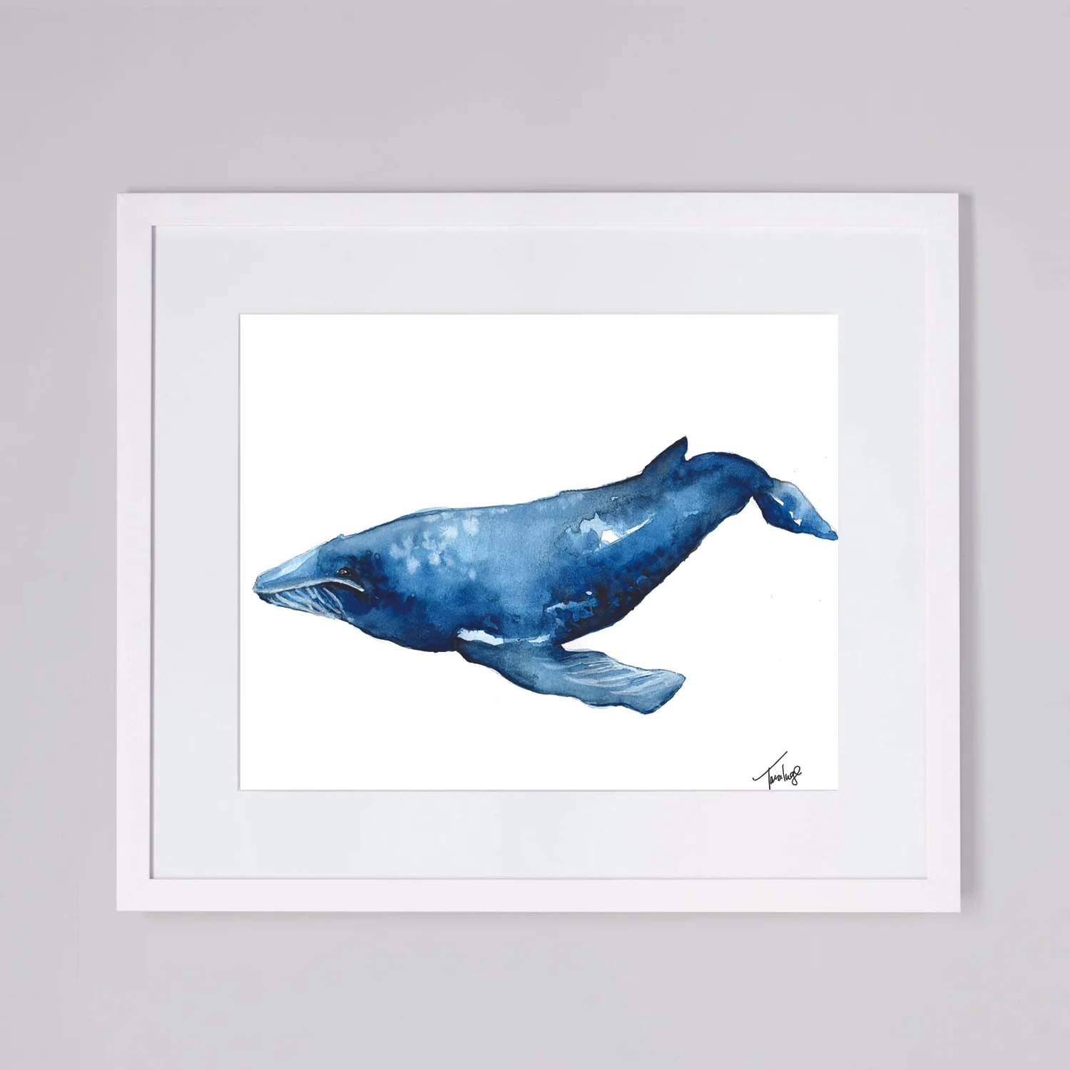 bluewhale_inframe_8x10.jpg