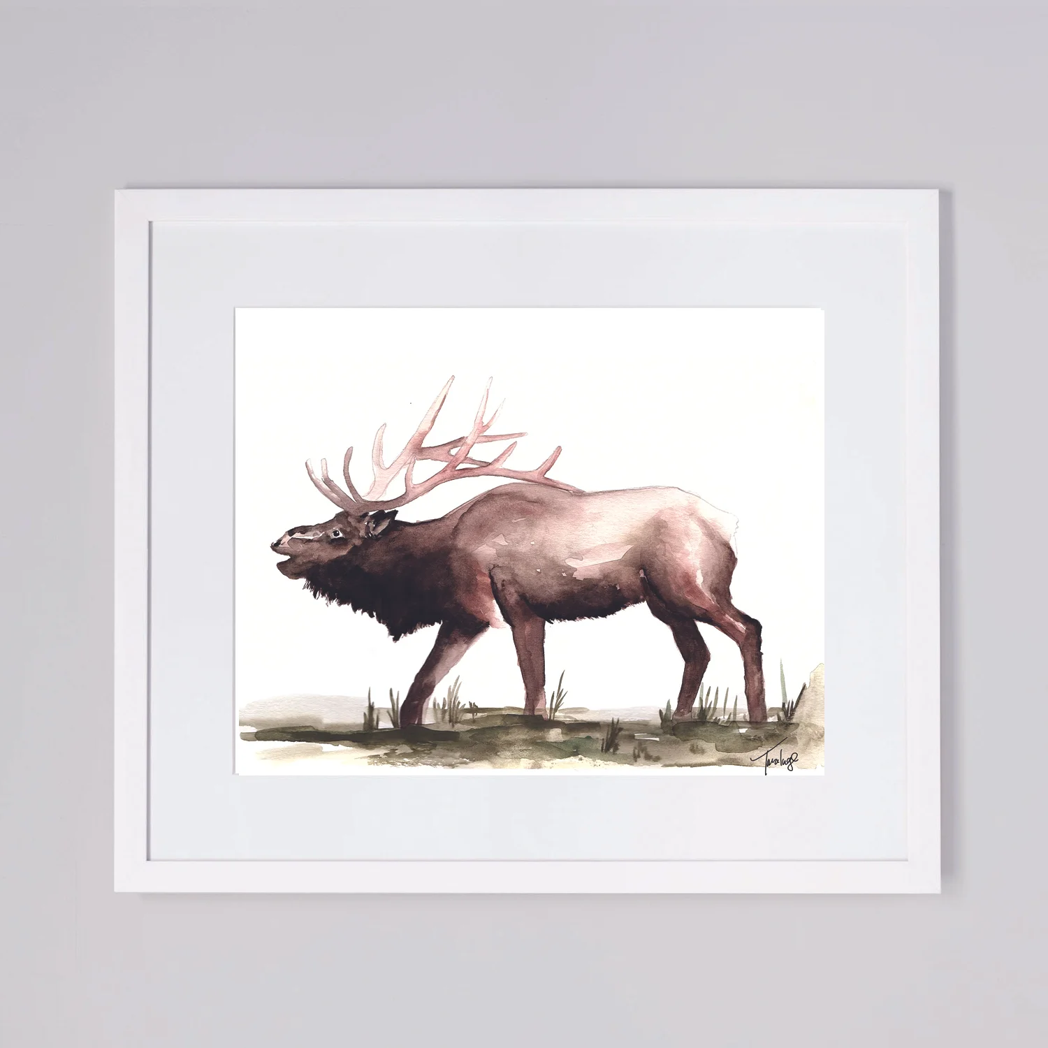Up North Watercolor 8x10 Elk