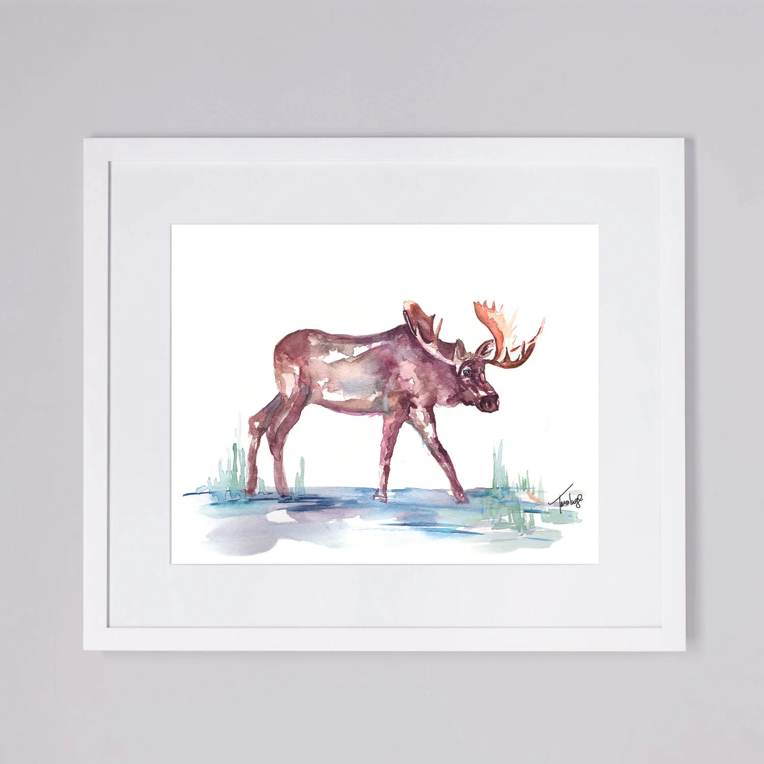 moose_inframe_8x10.jpg
