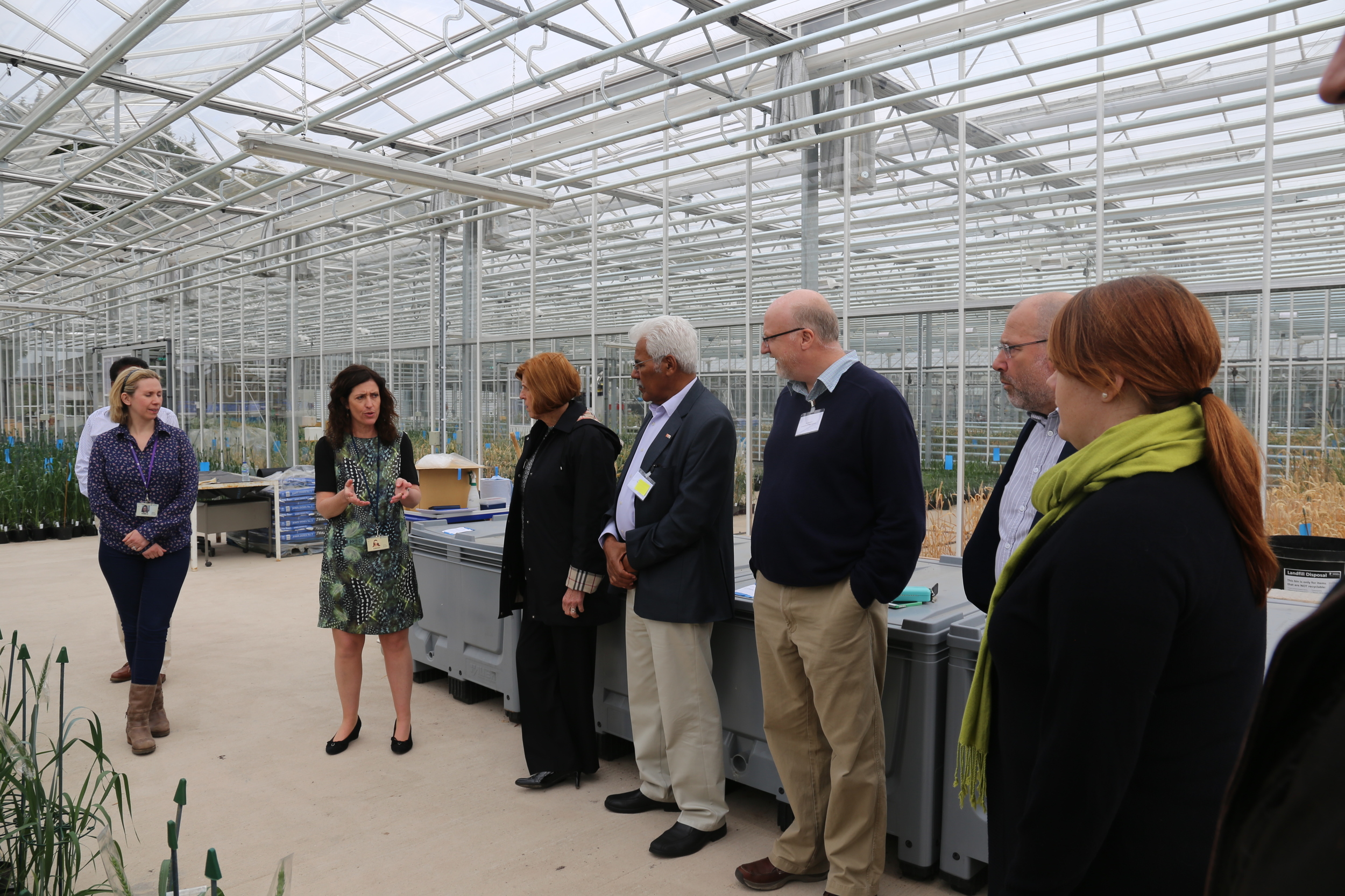 Touring the Glasshouse