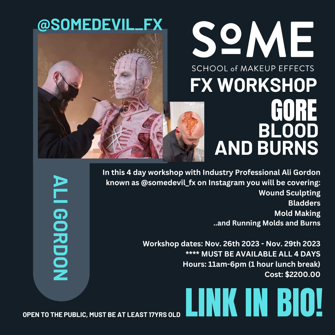 Effects Makeup Schools