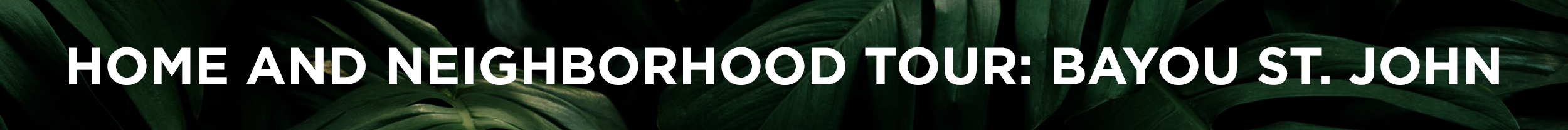 2019-NOAF-FHT-Website-Images.png