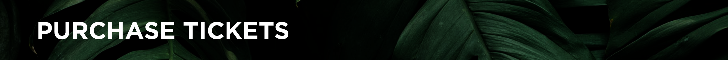 2019-NOAF-FHT-Website-Images2.png