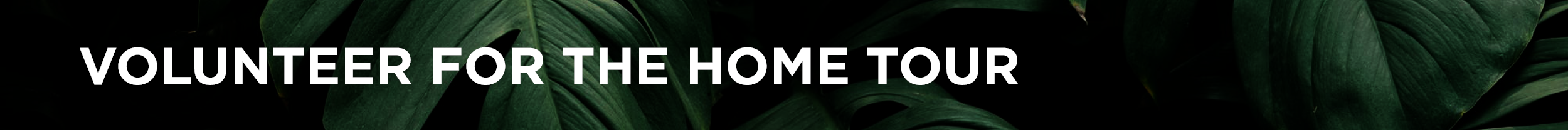 2019-NOAF-FHT-Website-Images5.png