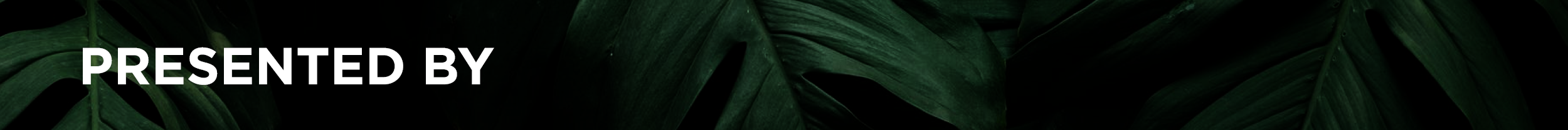 2019-NOAF-FHT-Website-Images6.png