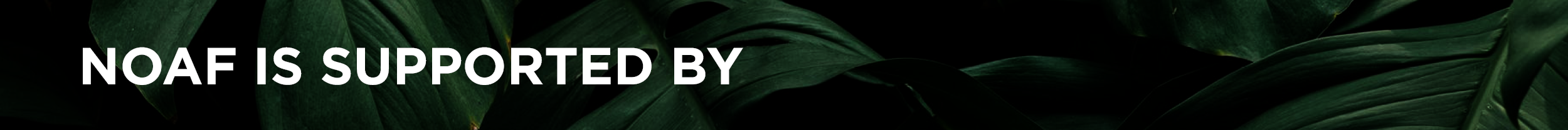 2019-NOAF-FHT-Website-Images8.png