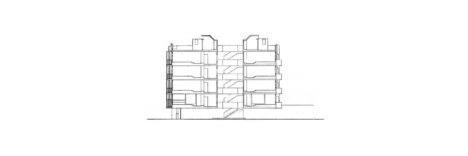 corte longitudinal.jpg