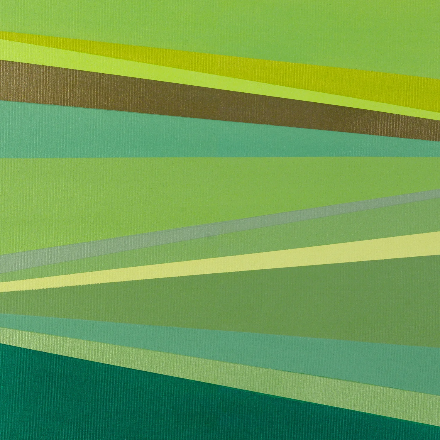    Darwin     24 by 24 inches    Acrylic on canvas    2011  