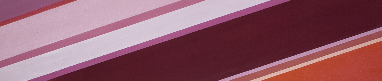    Nine Harmonious Pinks an Orange and a Red     56 by 11.5 inches    Acrylic on canvas    2010  