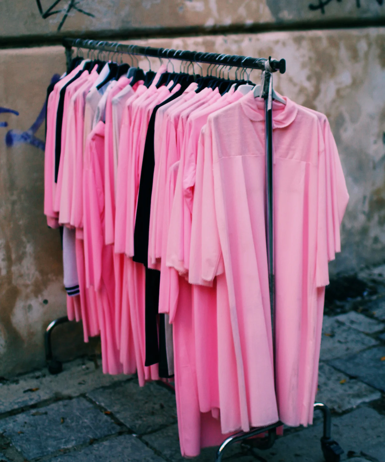 Mascot_Sicily_Blog_02.jpg