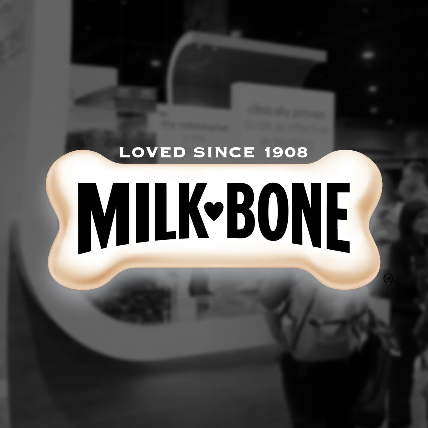 MilkBone - 3.jpg