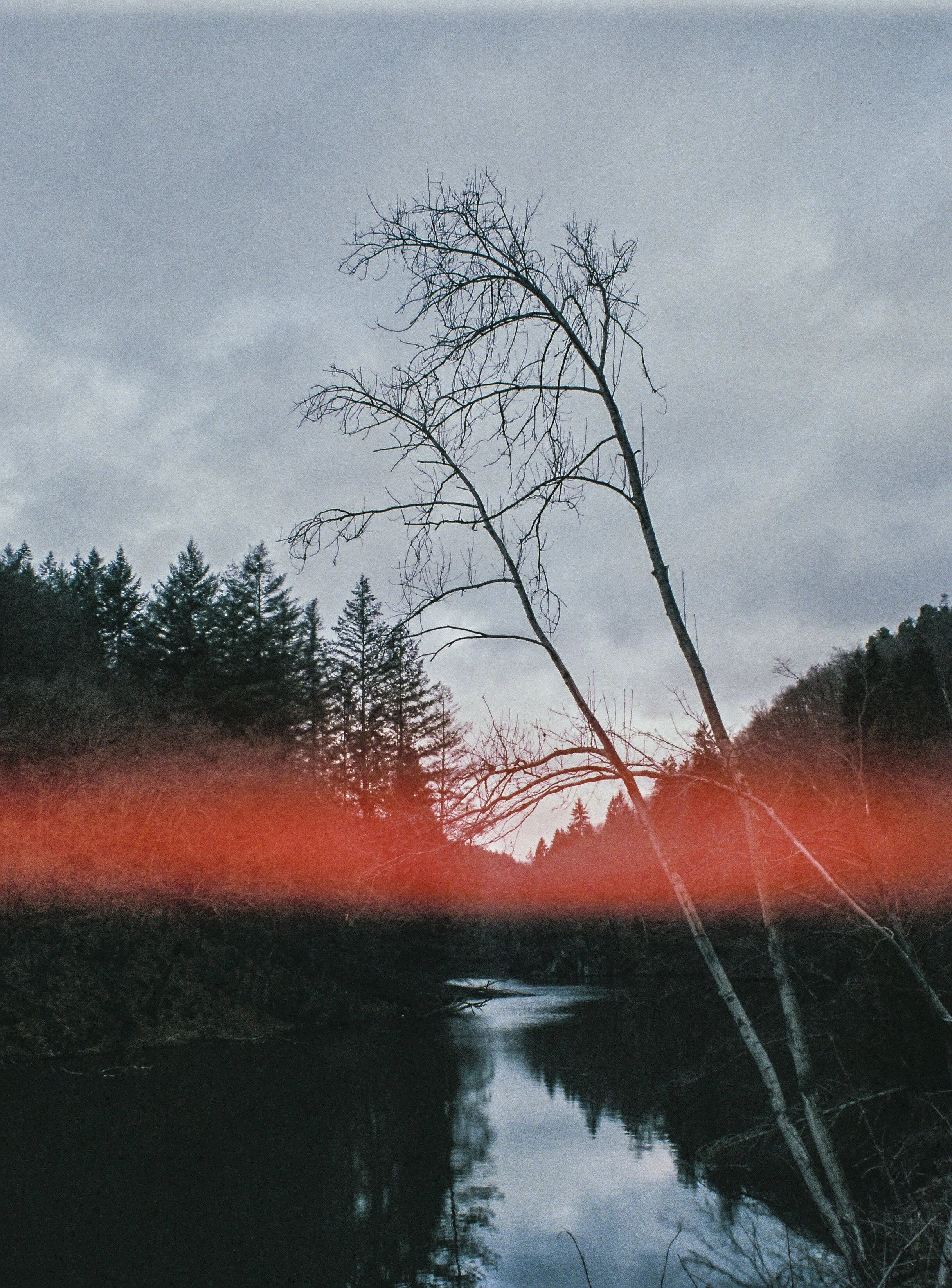 000008_1.jpg