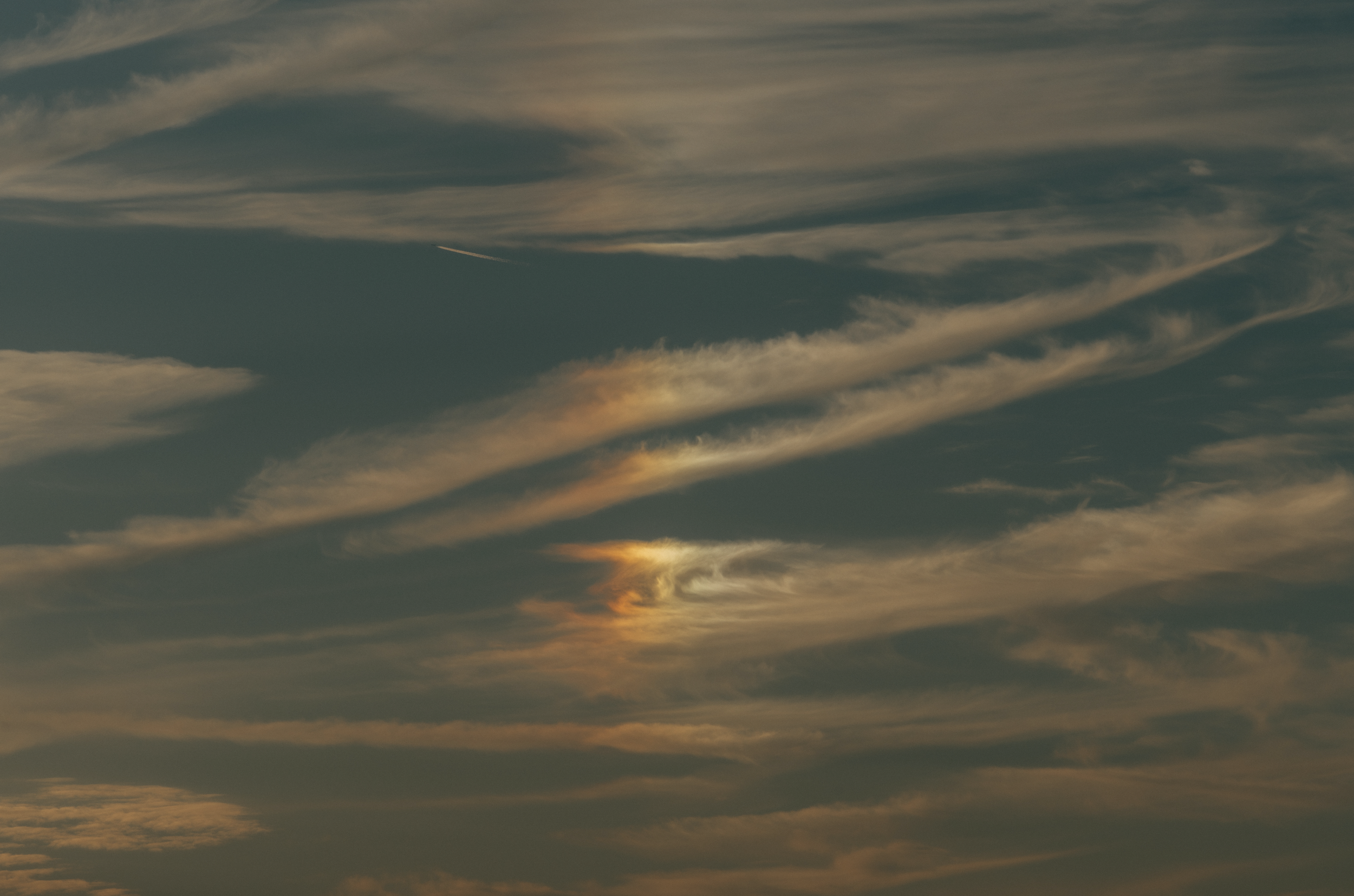 Scherm­afbeelding 2025-12-10 om 08.58.44.png