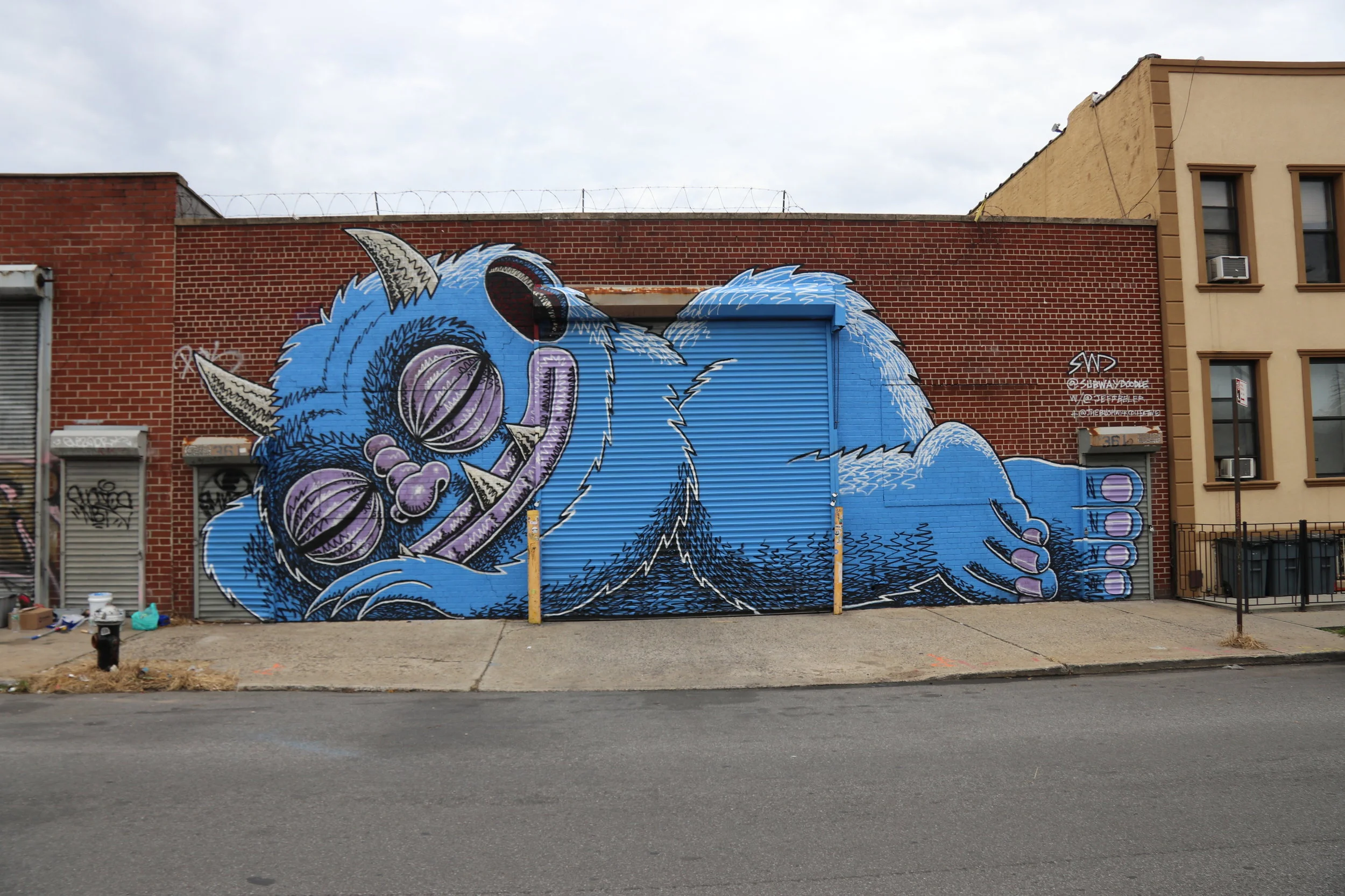 BushwickSleeping 01.jpg