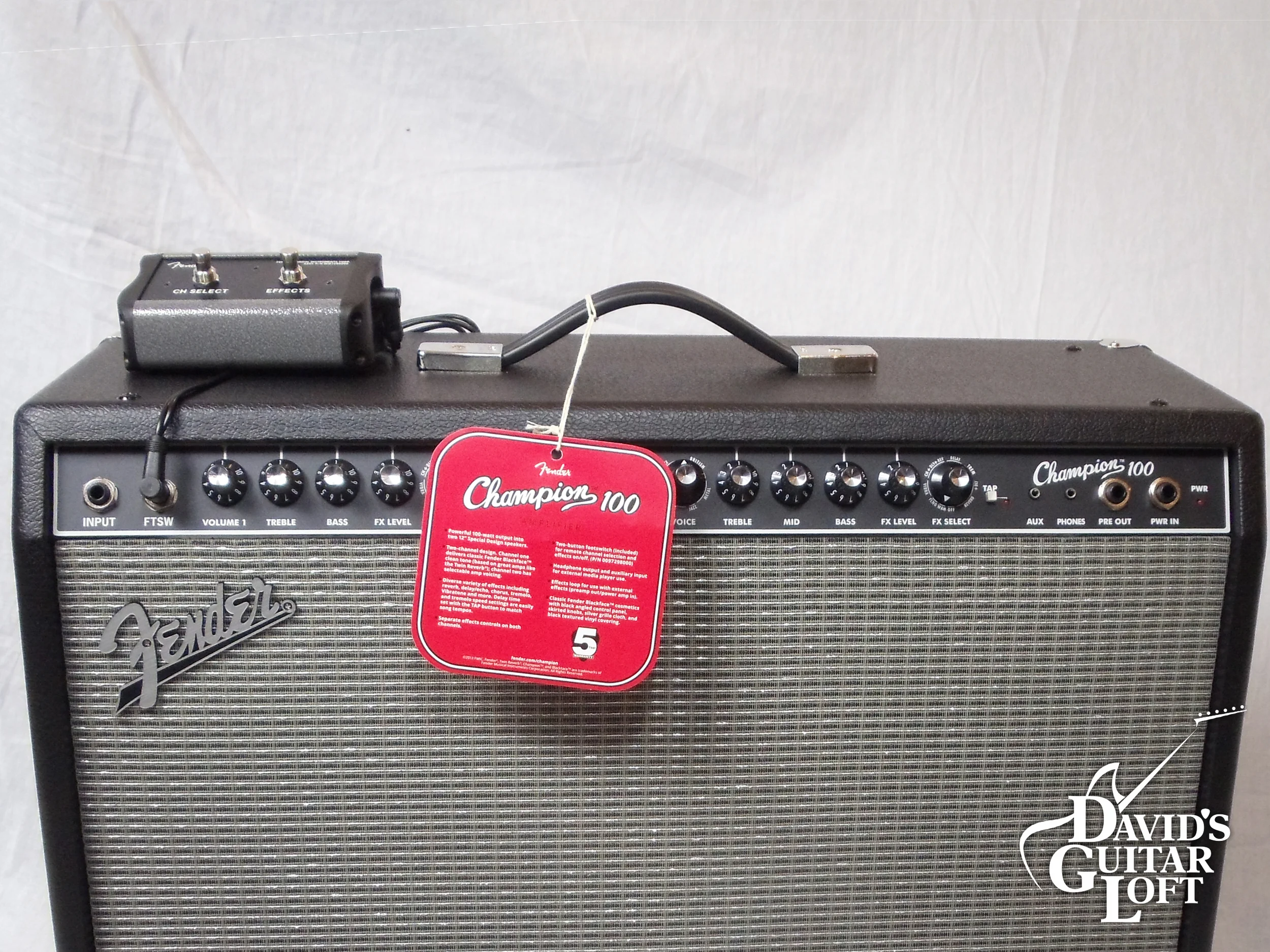 fender champion 100 speakers