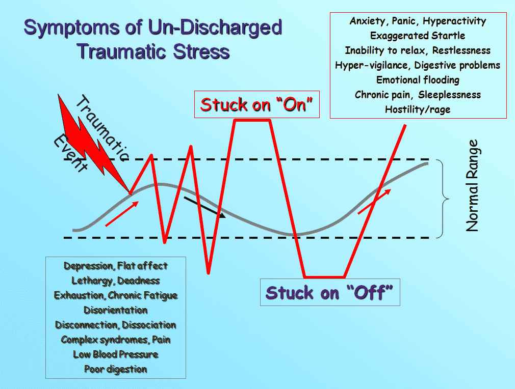WofT with stressor.gif