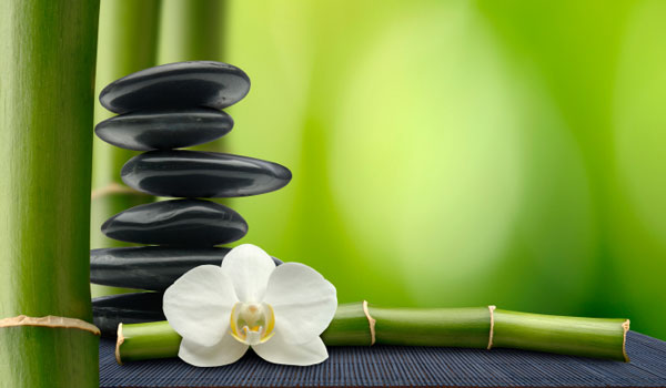 bamboo flower.jpg