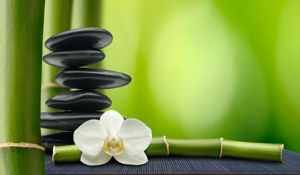 bamboo-and-white-orchid-and-stack-of-black-stones