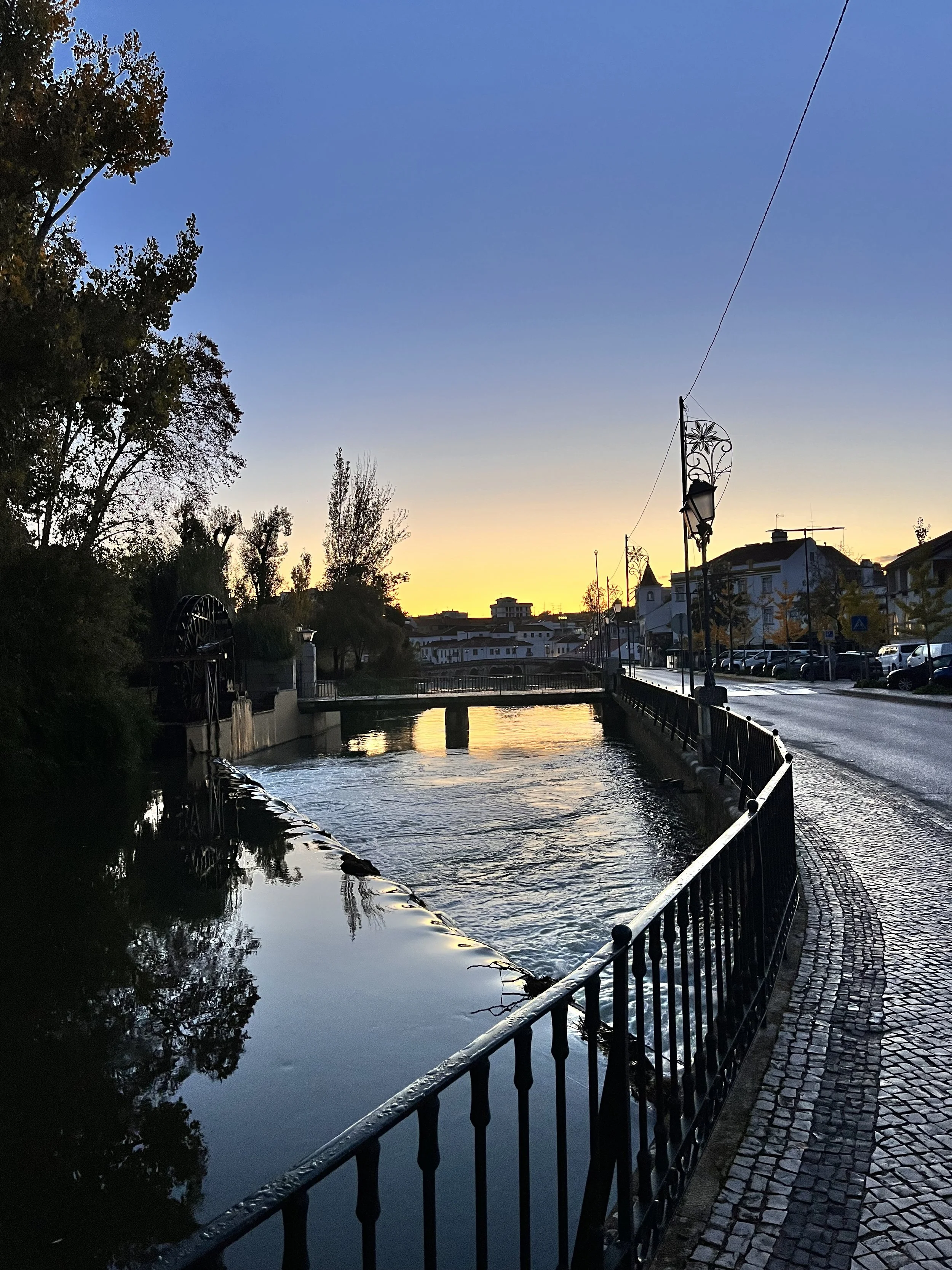 IMG_0808.jpeg