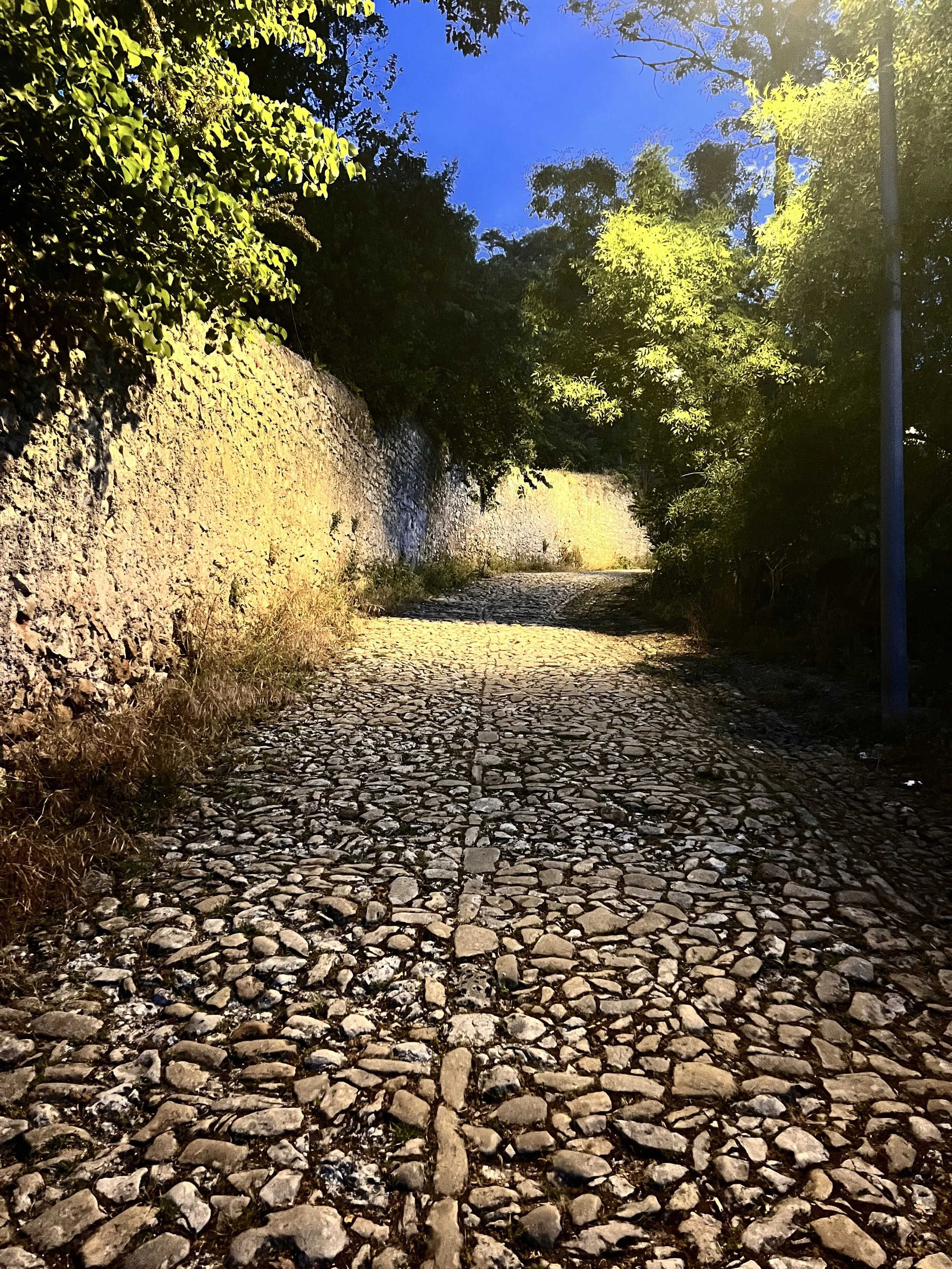 IMG_1808.jpeg