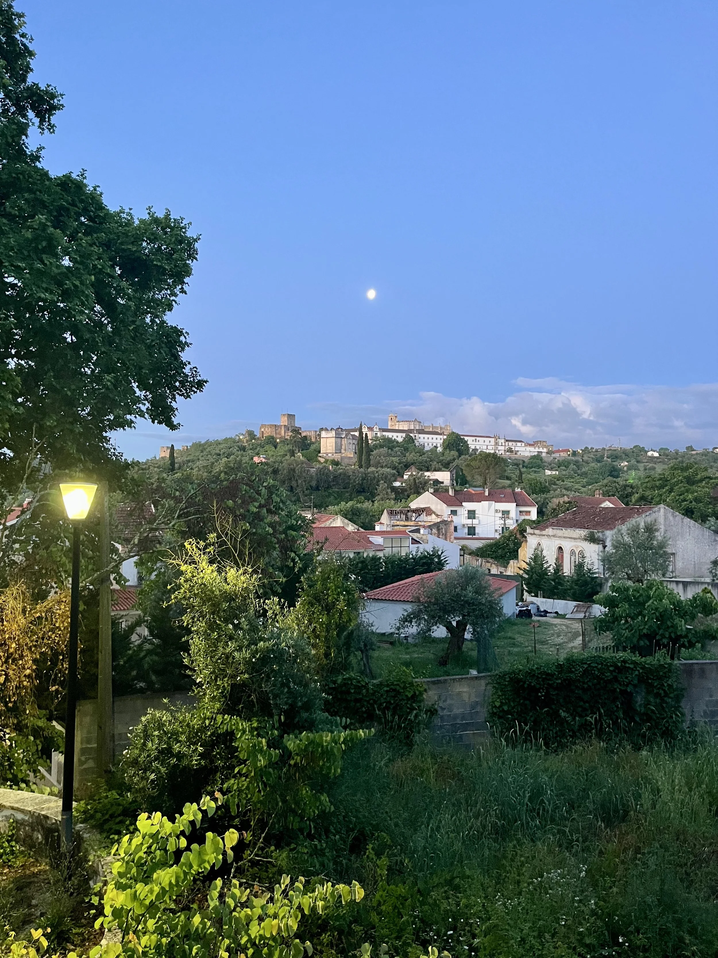 IMG_1889.jpeg