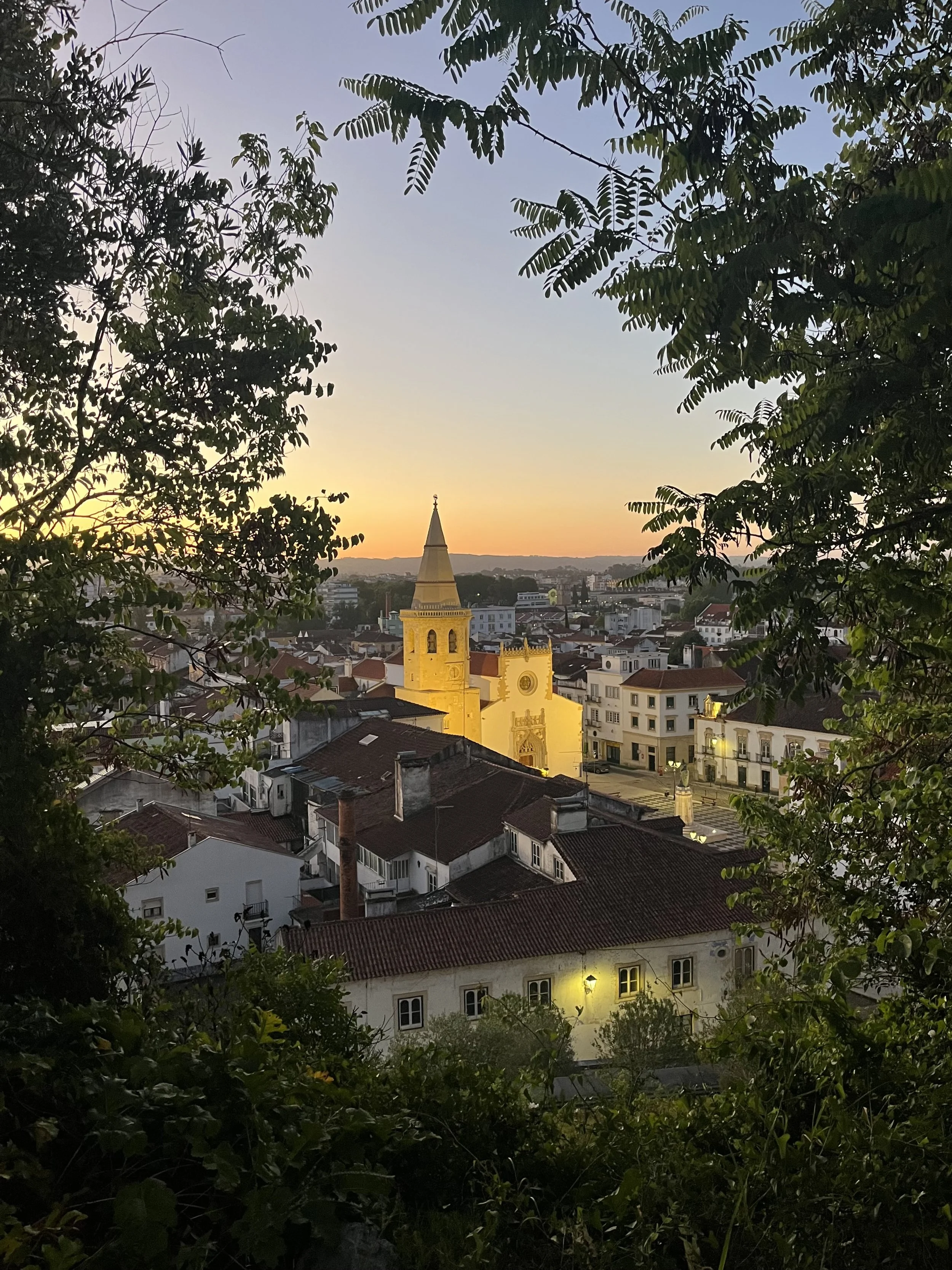 IMG_2049.jpeg