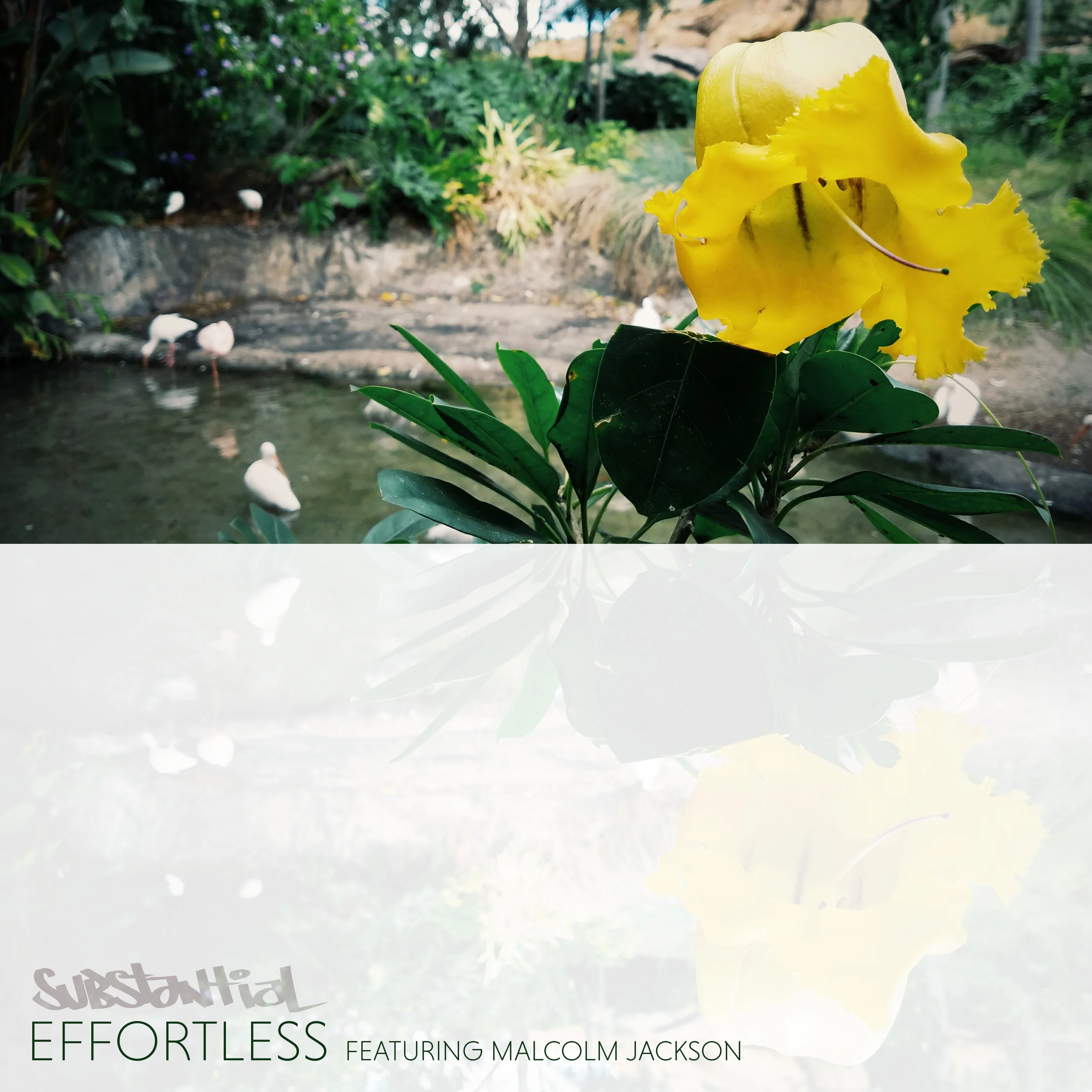 Effortless-Cover.jpg