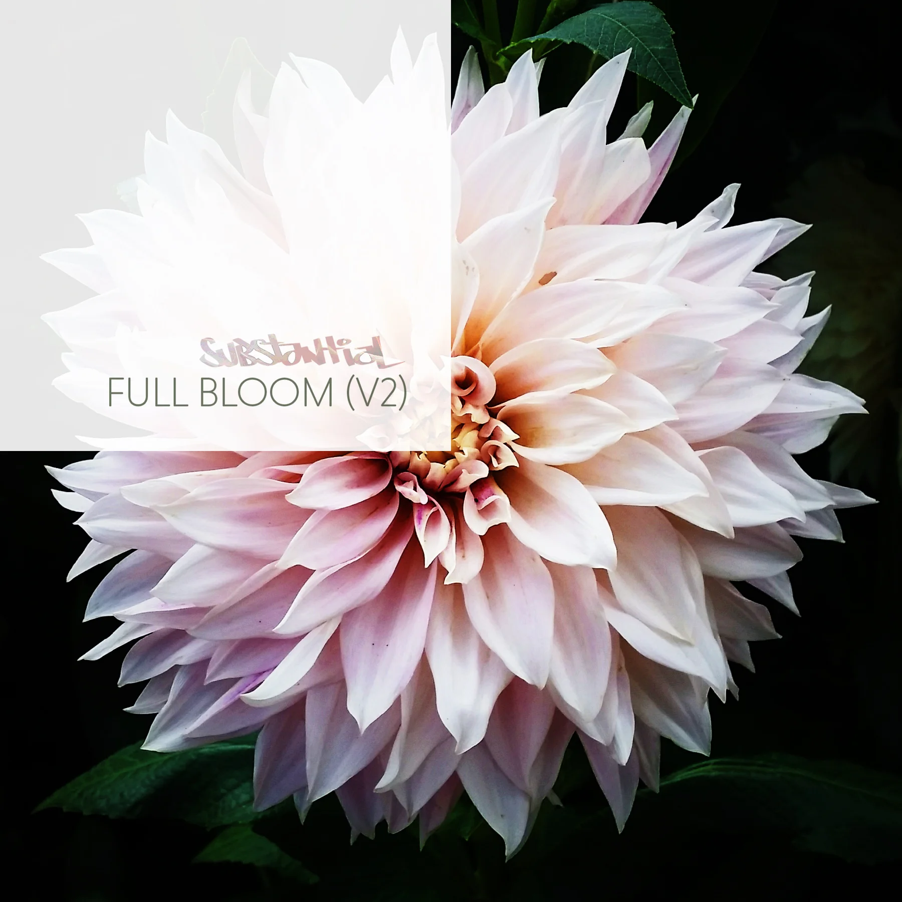 FullBloomV2-Cover.jpg