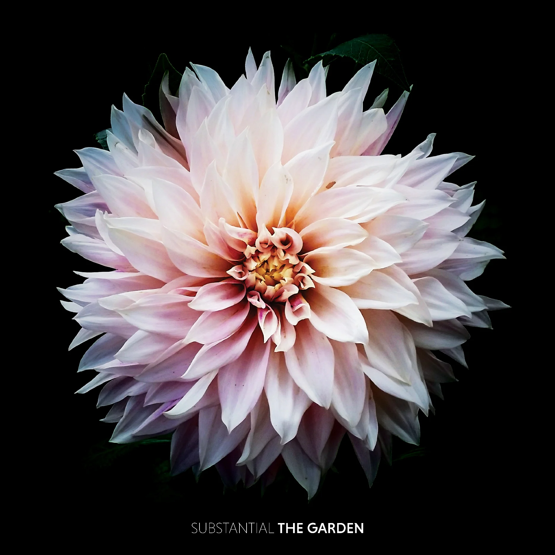 TheGarden-Final-loweres.jpg