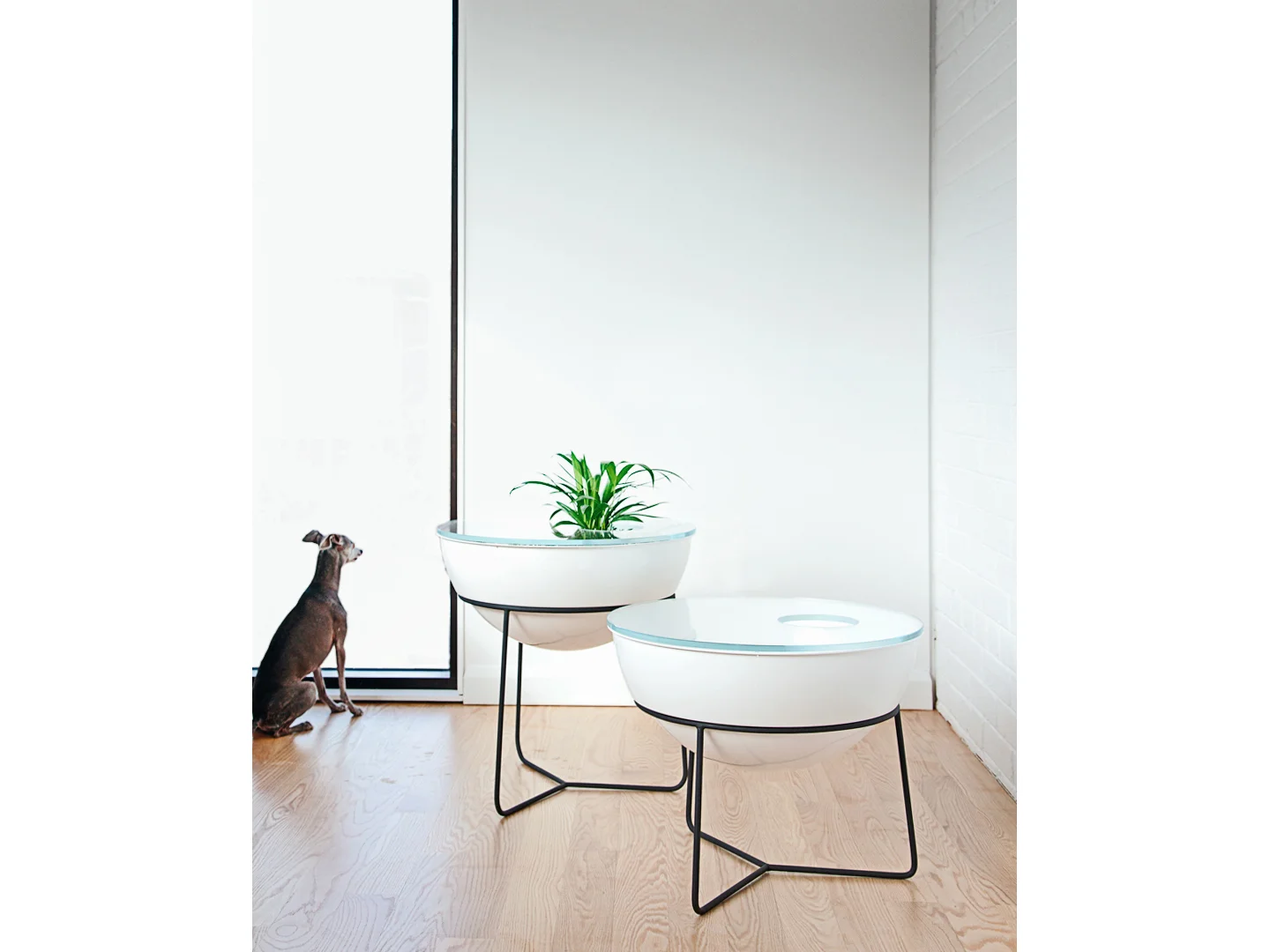 Everything Table