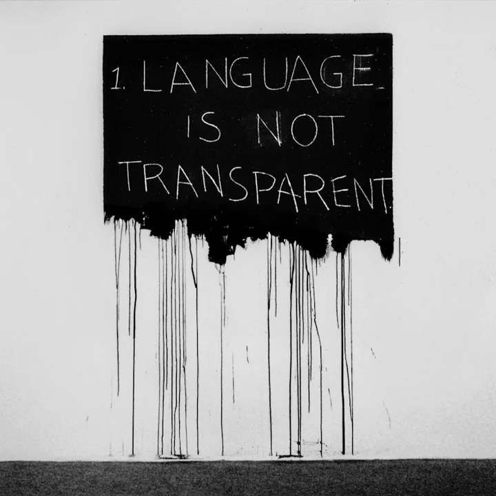 On Language and Its Rules: Why context matters