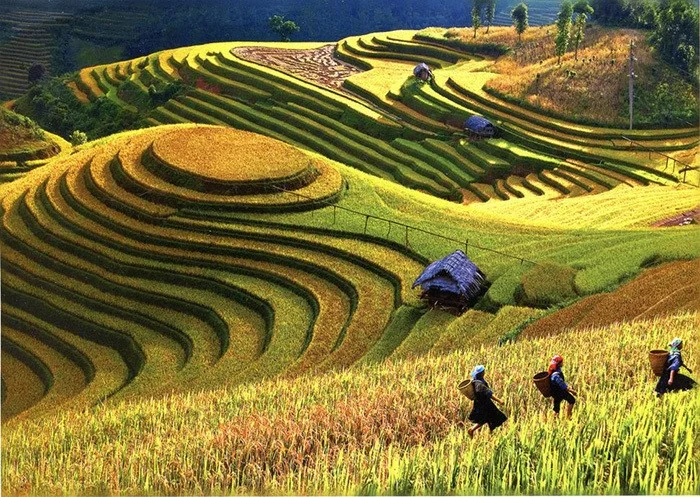 Rethinking Our Approach to Development