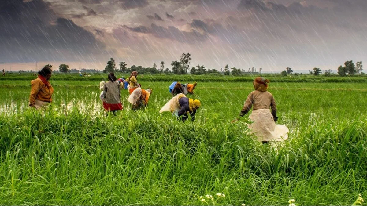 https://images.squarespace-cdn.com/content/v1/53fe1e26e4b0e51709f9758f/1594649974578-LKTNMWHZ7S6I48WOMNRF/1_Agriculture_and_rural_farms_of_India-e1548392979838.jpg?format=2500w