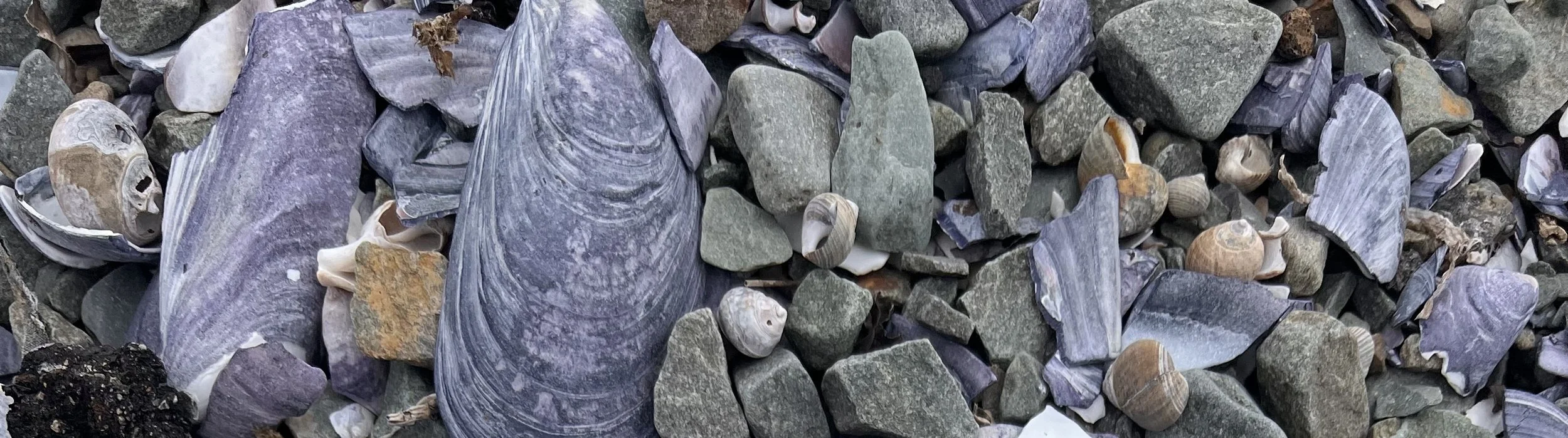 Harbour View Motel_01 copy.jpg