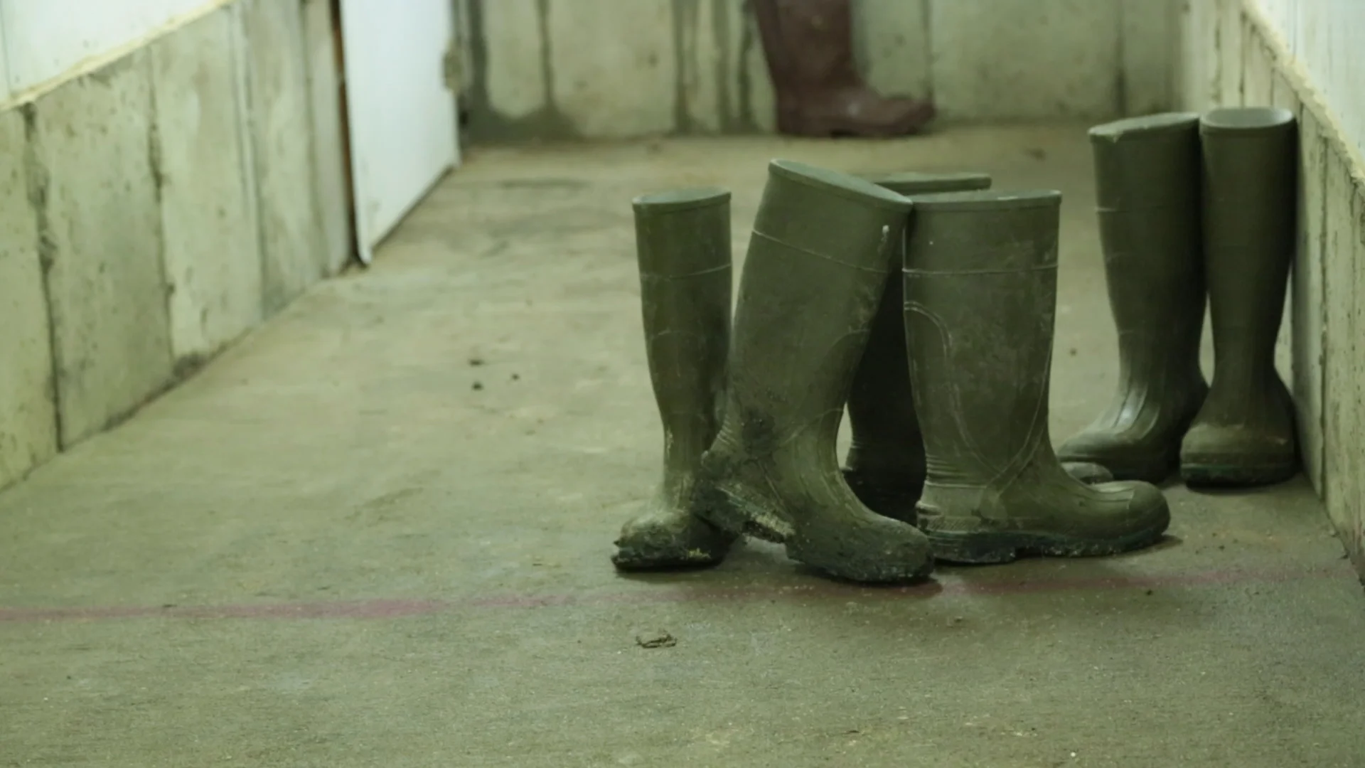 Shoe Wash.Still001.jpg