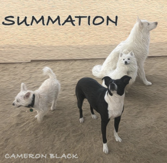 Summation - Cameron Black