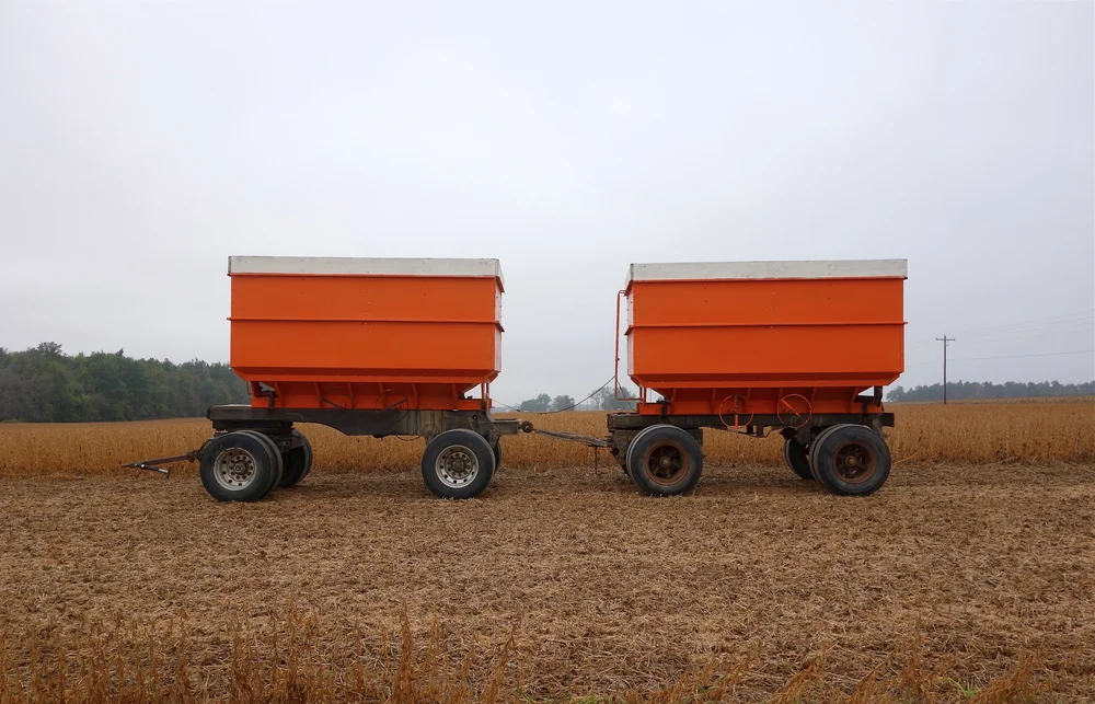 Orange Corn Hoppers, Athens, Michigan