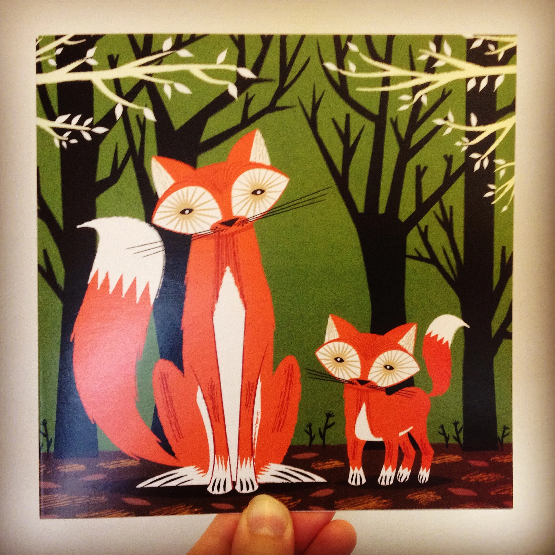Two Fine Foxes