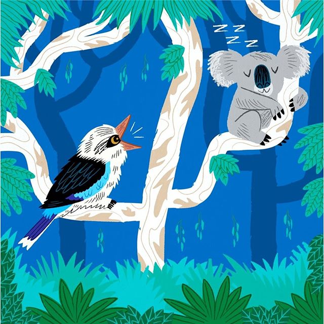 The Koala and The Kookaburra 
#OutInTheWild