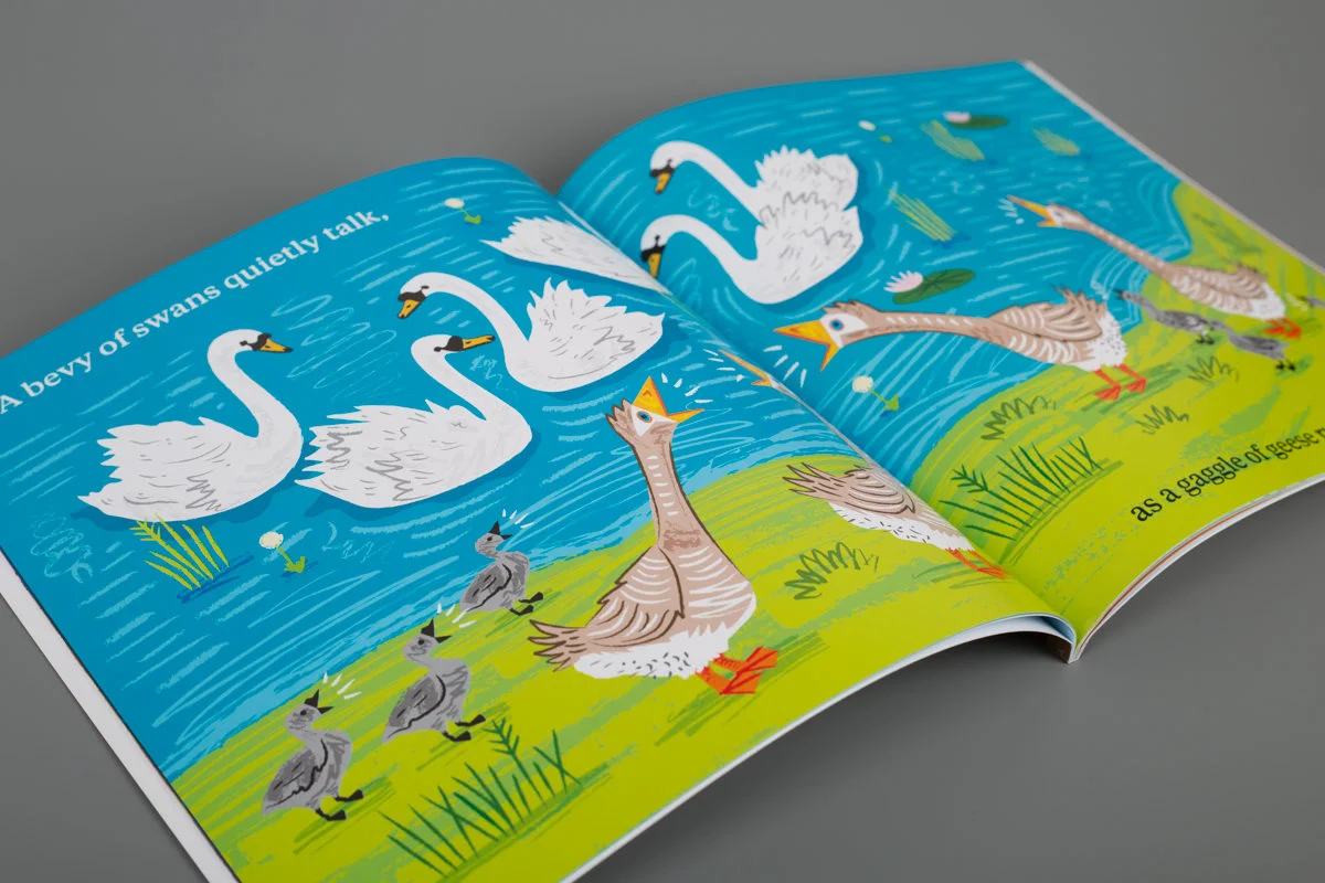 geese-and-swans.jpg