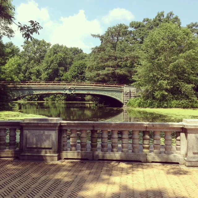 park 2.jpg
