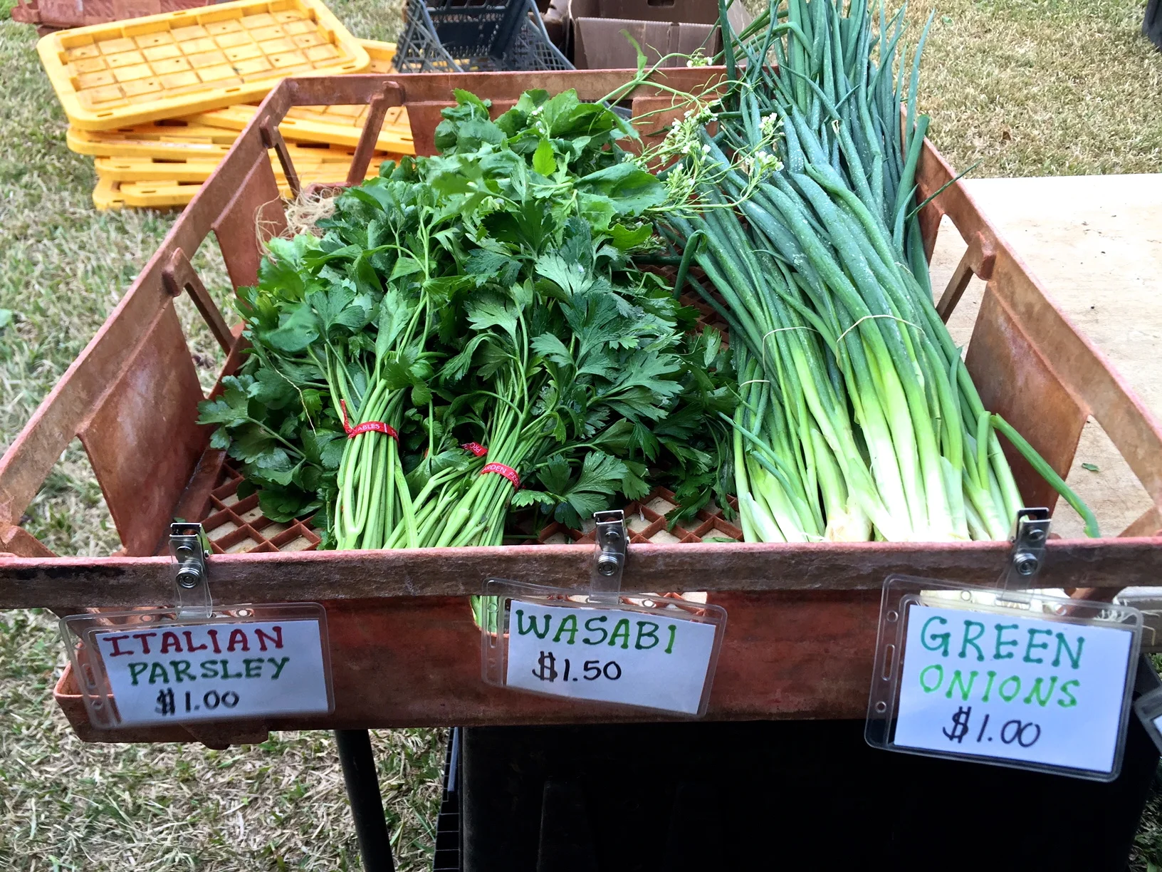 Honolulu farmers market