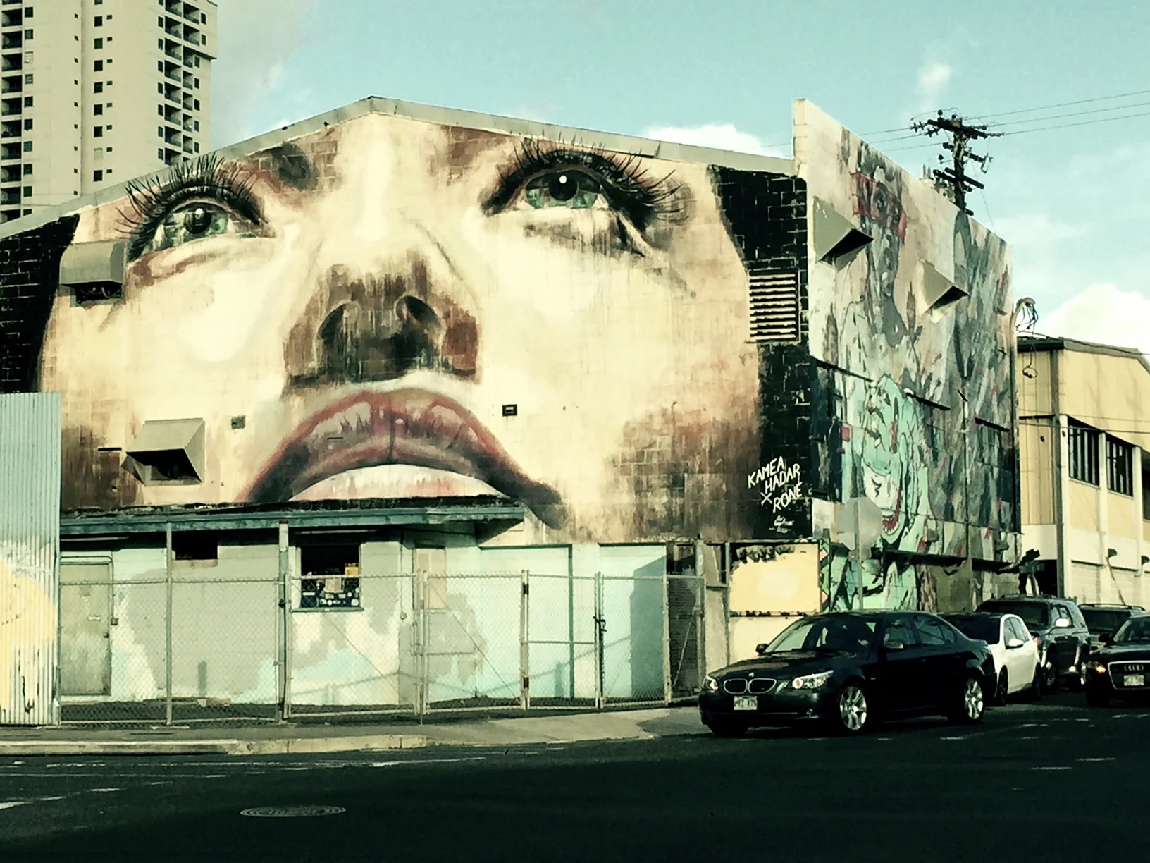 Street art in the Kakaako neighborhood, Honolulu.