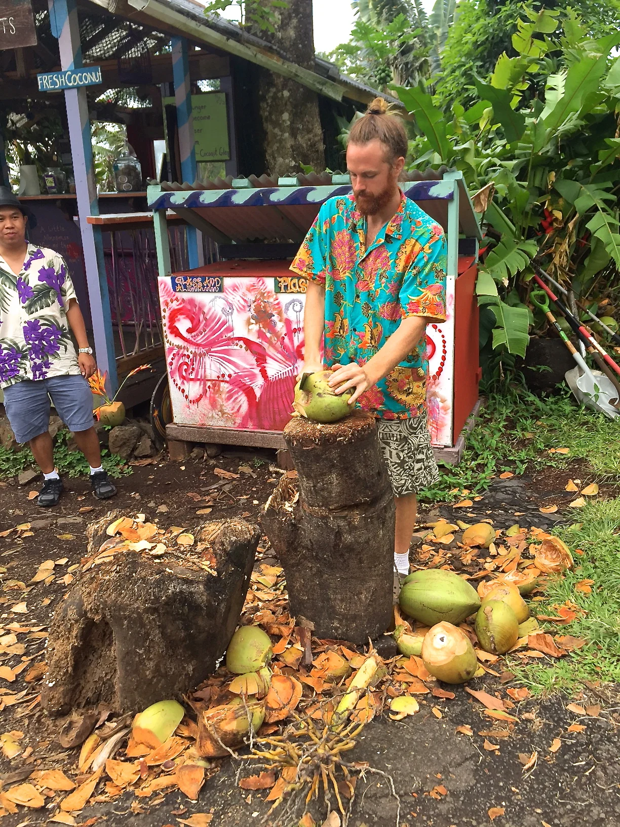 Coconuts along the road...